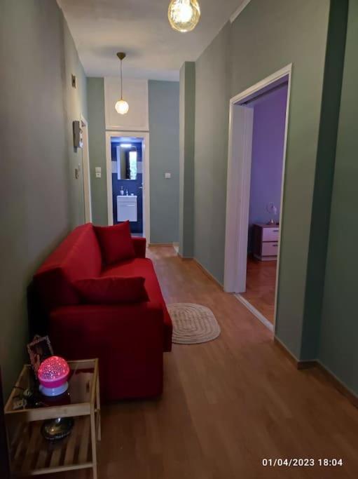 Cozy New Apartment Near The Beach アテネ エクステリア 写真